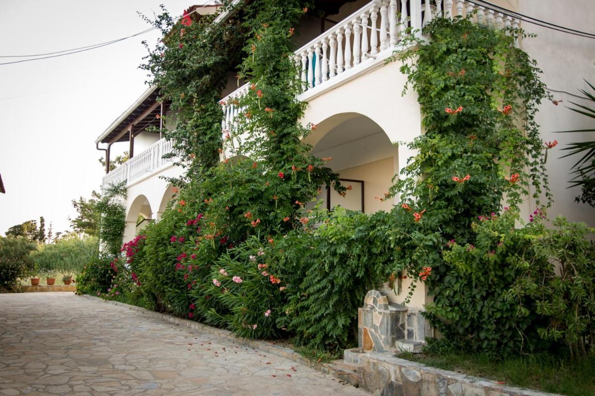 Leonidas Studios Laganas Buitenkant foto